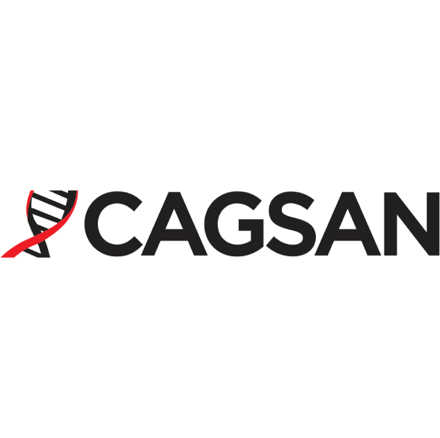 Cagsan