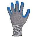 0655-1.webp