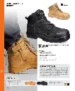 FD04_1.webp
