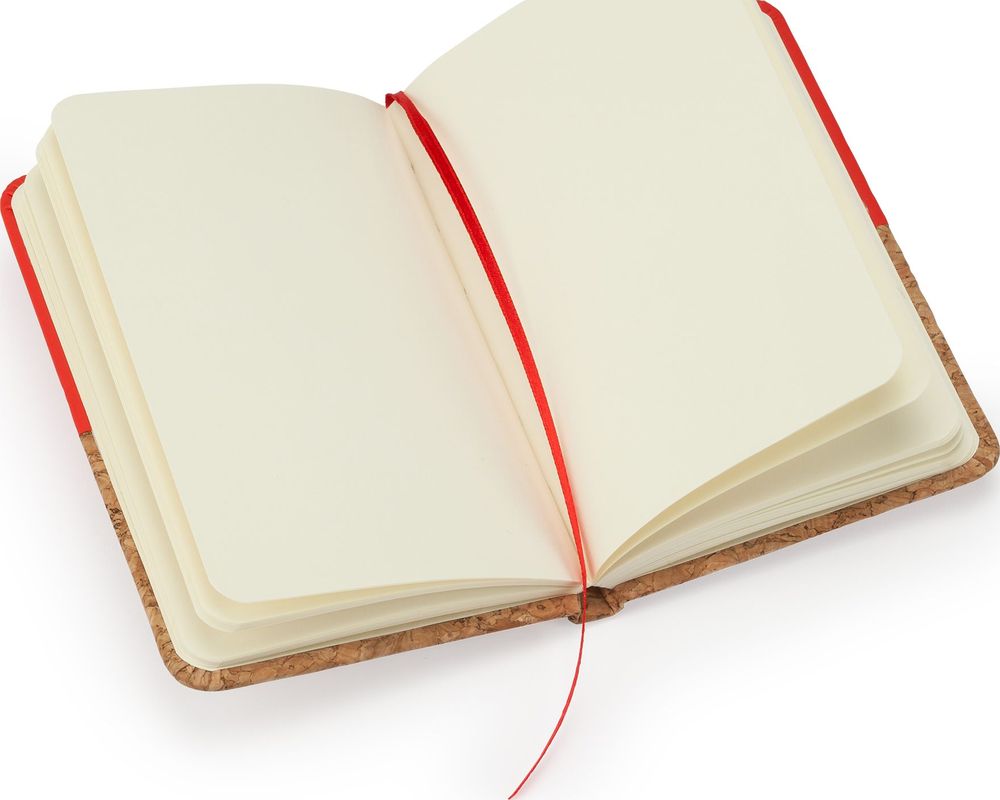 NB8071 IRIS Notebook