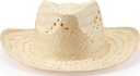 GO7062 HALLEY straw